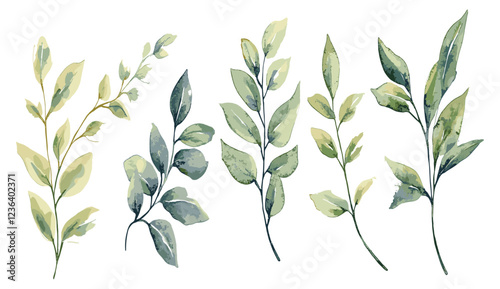 Intricate and lifelike watercolor botanical illustration of lush green branches adorned with graceful, flowing leaves, evoking the beauty of nature’s untouched perfection