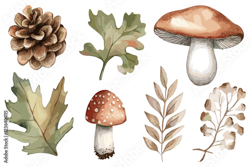 Watercolor woodland elements, pine cone, acorn, mushroom, leaves for invitations, posters, wall stickers, greeting cards.