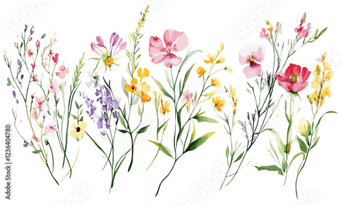 Hand-drawn wildflowers and botanical elements, intricately framed in a watercolor design, creating an enchanting and vibrant illustration that brings the natural world into focus with an artistic and 