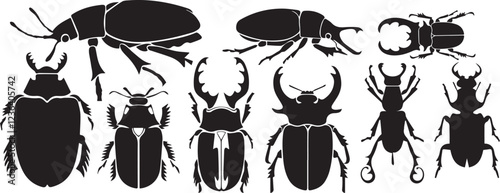 Set of beetles. Hand drawn vector illustration