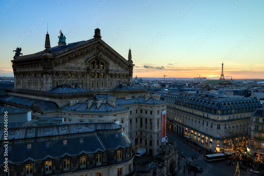 Fototapeta premium Parisian panorama