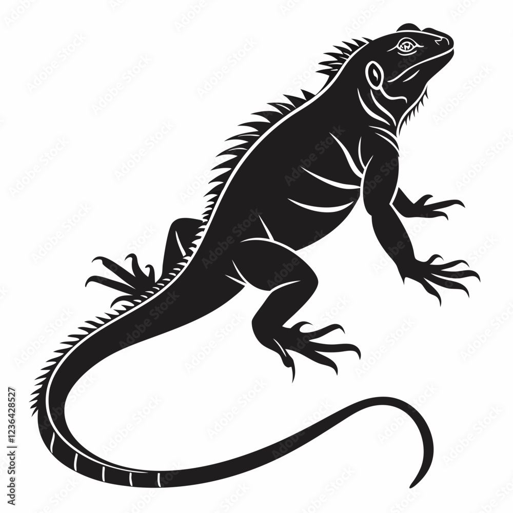 Fototapeta premium Marine Iguana vector silhouette black design white background