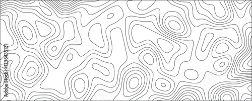 Simplified and Elegant Topography Contour Drawing with Smooth Curves and Balanced Composition

