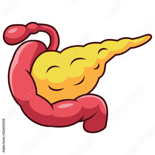 Cartoon human pancreas organ on white background