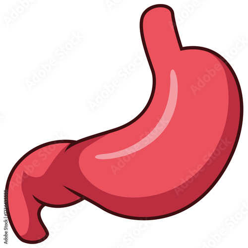 Cartoon human stomach isolated on white background