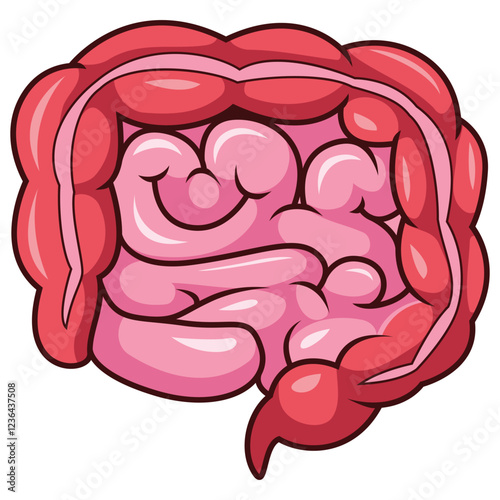 Cartoon human intestines organ  on white background