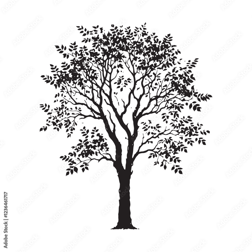 Obraz premium Artistic Hickory Tree silhouette with natural details for woodland designs - Hickory Tree silhouette - Hickory Tree vector - Hickory Tree illustration - Hickory silhouette - Hickory vector 