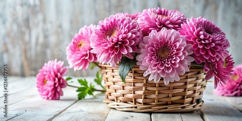A charming still life: a pink chrysanthemum bouquet in a basket, photographed naturally, isolated on white.