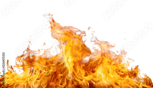 fire isolated over white background or transparent backround for graphic designs assets.