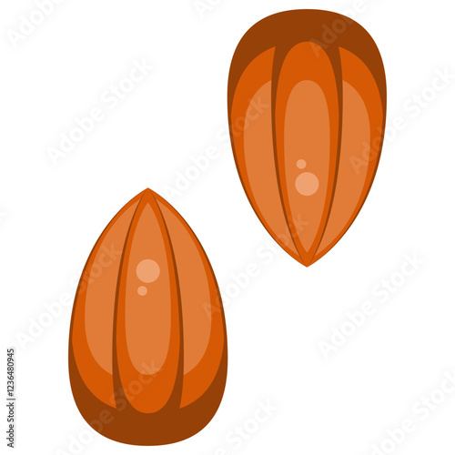 Flat Almond Icon