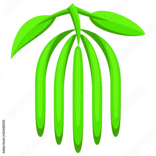 Flat Vanilla Icon