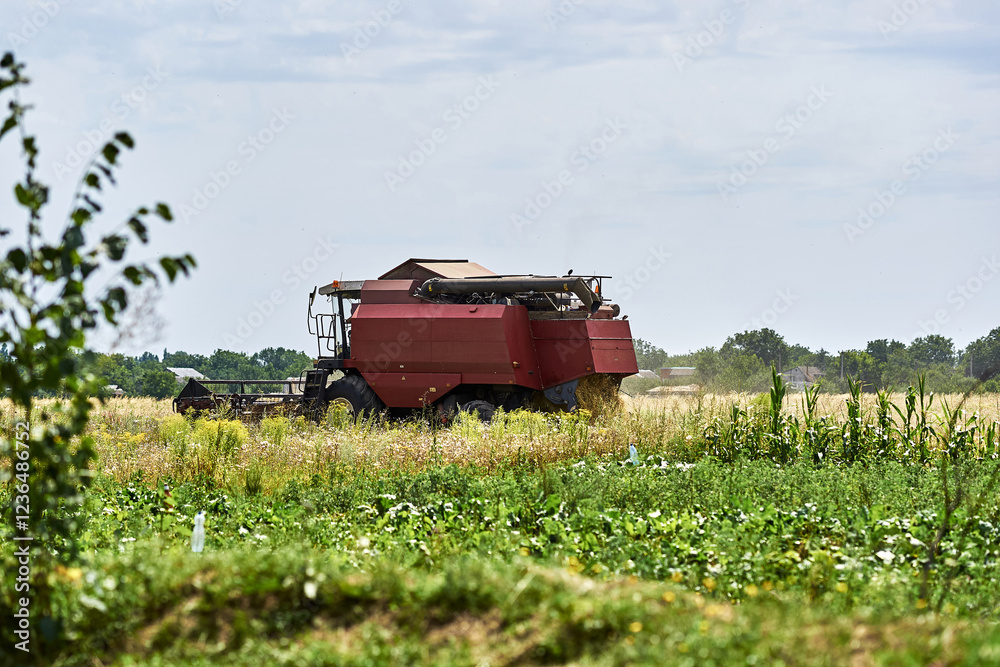 Red combine harvester in field during harvest season rural landscape agricultural machinery farming equipment summer day green vegetation blue sky Red combine harvester in field during harvest season rural landscape agricultural machinery farming equipment summer day green vegetation blue sky