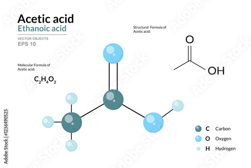 Acetic Acid. Ethanoic Acid. Vinegar. Structural Chemical Formula and 3d Model of Molecule. C2H4O2. Atoms with Color Coding. Vector Graphic Illustration for Educational Materials, Scientific Articles