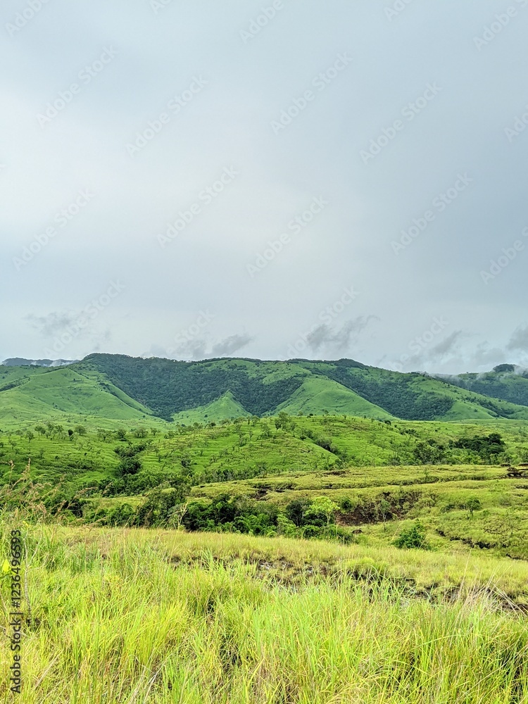 Obraz premium hilly views