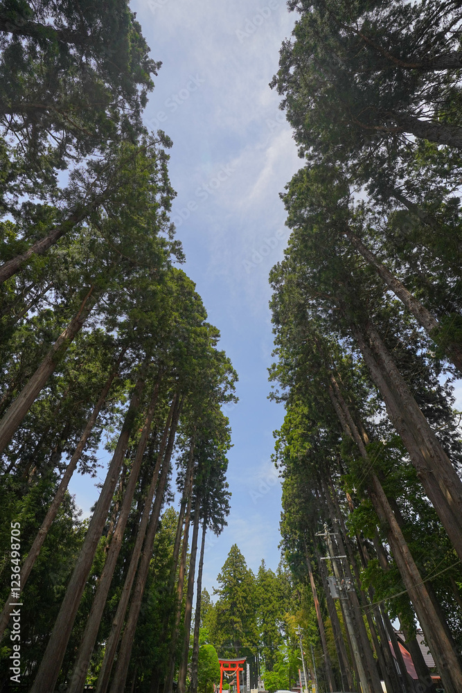 Fototapeta premium 櫛引八幡宮