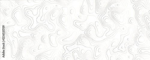 Sophisticated composition with intricate maze-inspired mapping and flowing structure
