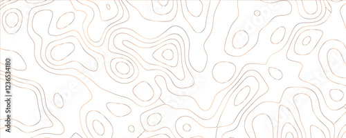 Modern minimalist illustration featuring interlaced contours and organic line dynamics
