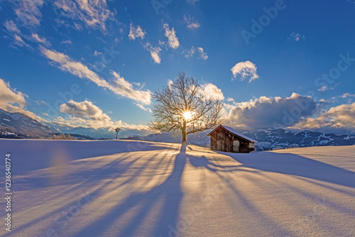 Winter - Allgäu - Schnee - Traumtag - Berge - Baum - Hütte photo