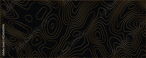 Modern artwork with detailed interwoven mapping elements and sophisticated flow
