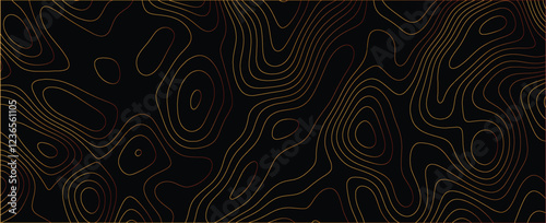 Modern artwork with detailed interwoven mapping elements and sophisticated flow
