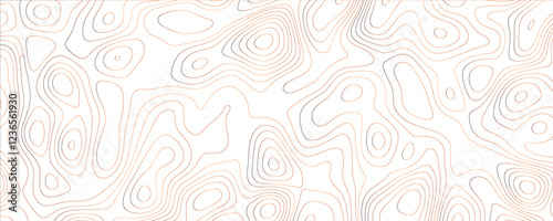 Modern illustration with elegant fluid curves and complex organic contours
