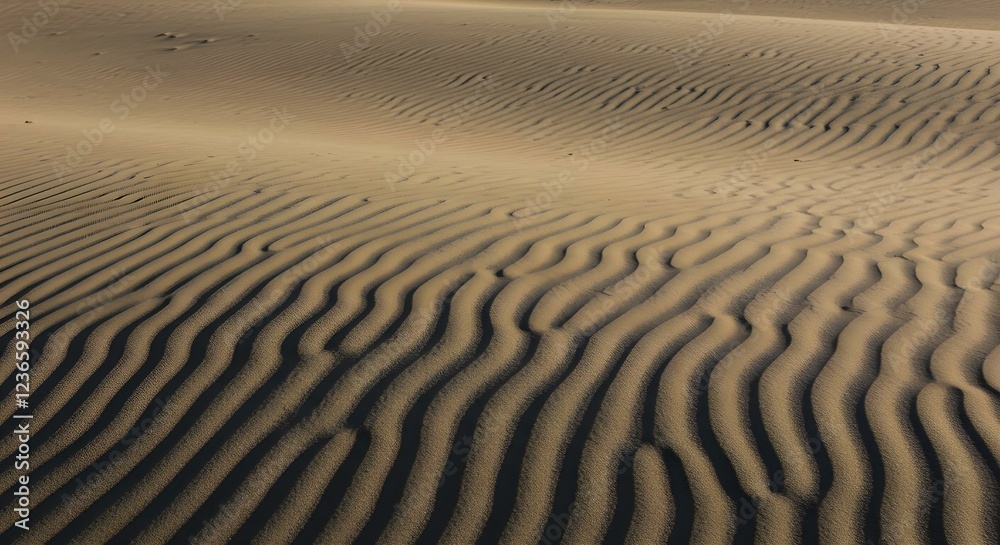 Obraz premium Wind made patterns in sand dune