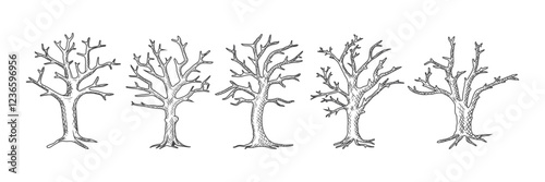 A collection of hand-drawn dry tree logos with various shapes in an ancient style