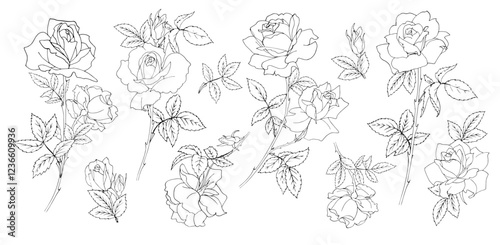 Branches of blooming roses on a white background. Set. Black and white vector illustration.