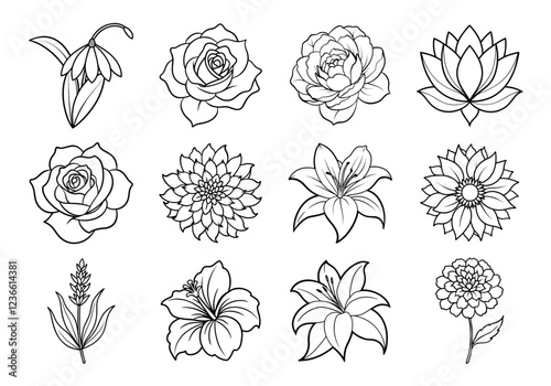 Flowers liner art set. Flowers vector bundle isolated on white background