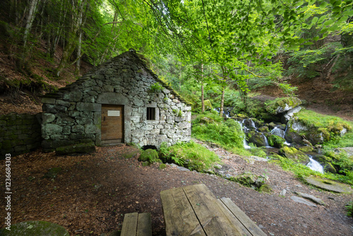 Water wheel mill (Moulin de Chambeuil), Laveissiere, Cantal, Auvergne-Rhone-Alpes, France photo