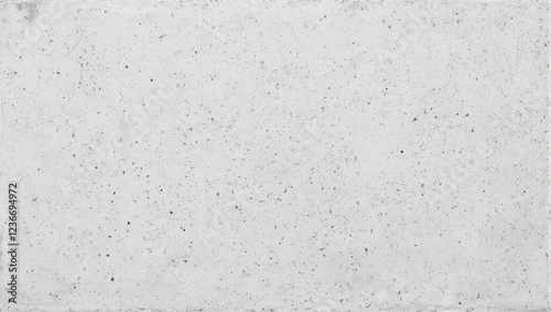 Textured polished concrete surface with subtle aggregate specks