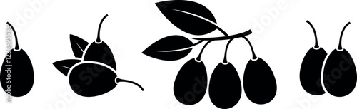 Dogwood logo. Isolated dogwood on white background