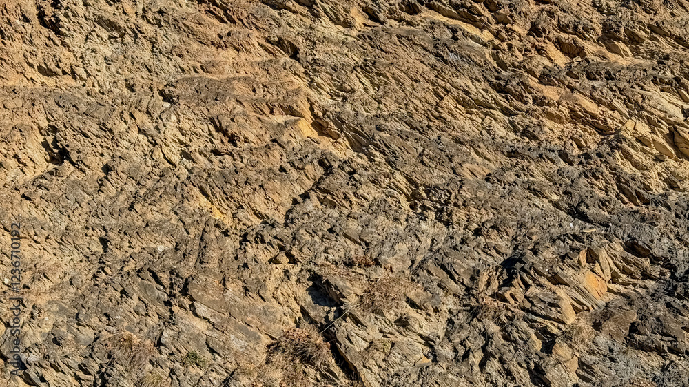 Close-up of textured rocky surface, illustrating geological formations and natural erosion, ideal for Earth Science and environmental education concepts Close-up of textured rocky surface, illustrating geological formations and natural erosion, ideal for Earth Science and environmental education concepts