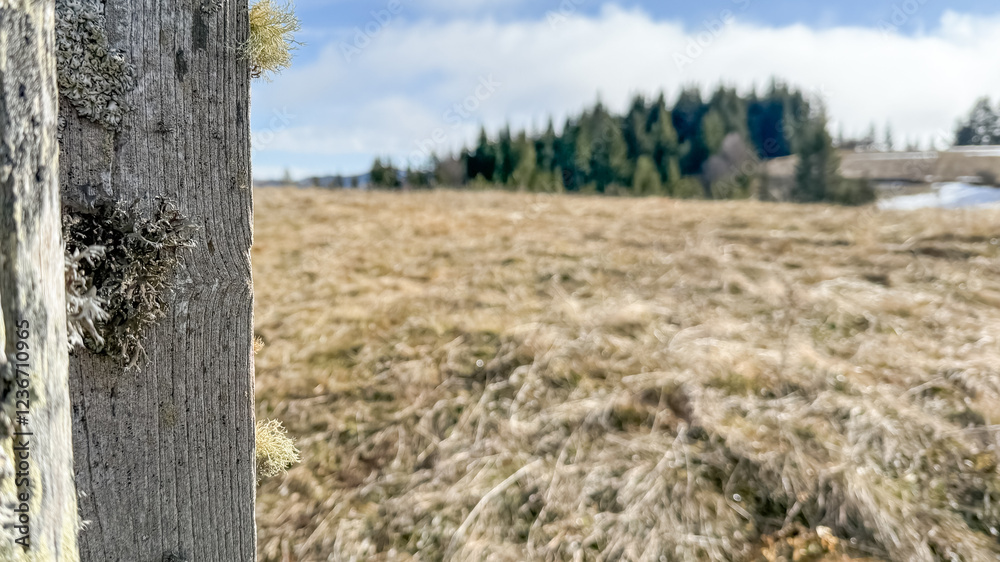 Fototapeta premium A weathered wooden post stands in a serene rural landscape, symbolizing rustic charm and tranquility in early spring