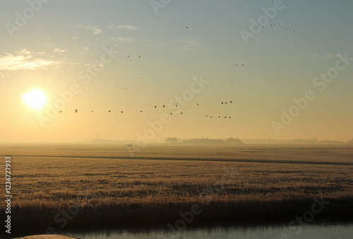 sunrise over the river