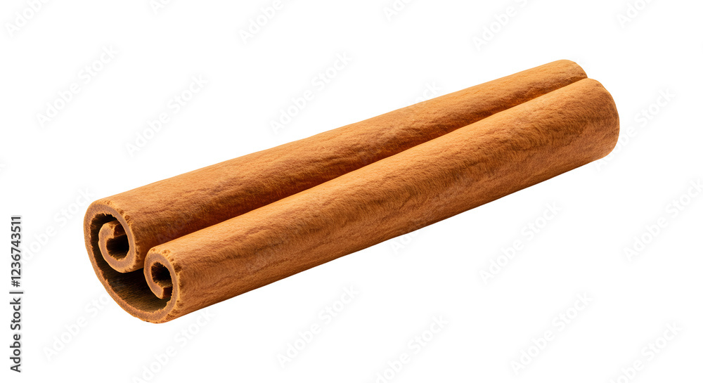 Whole Cinnamon Stick with Curled Edges Whole Cinnamon Stick with Curled Edges