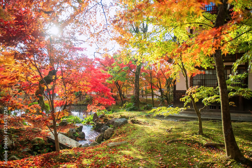 autumn foliage garden and sunlight of Eikando Temple, Kyoto, autumn foliage garden and sunlight of Eikando Temple, Kyoto,