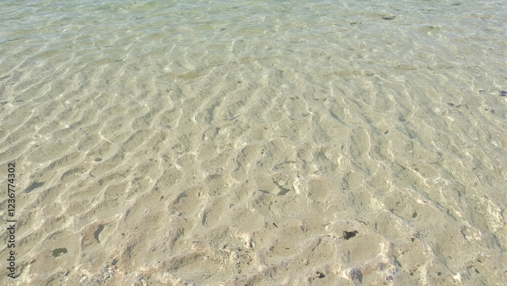 Mesmerizing underwater sand dunes with rippling textures and intricate shadows Mesmerizing underwater sand dunes with rippling textures and intricate shadows