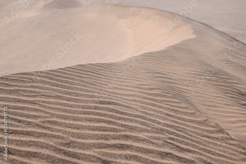 Fototapeta Naklejka Na Ścianę i Meble -  mmaculate sand dune in the desert