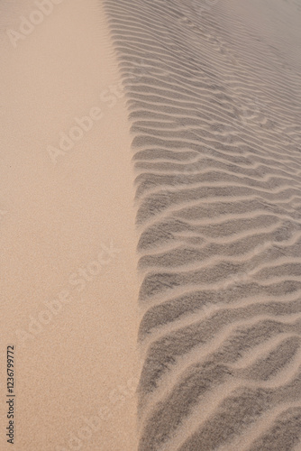 Fototapeta Naklejka Na Ścianę i Meble -  mmaculate sand dune in the desert