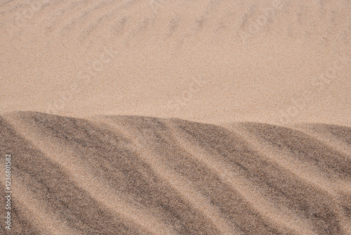 Fototapeta Naklejka Na Ścianę i Meble -  mmaculate sand dune in the desert