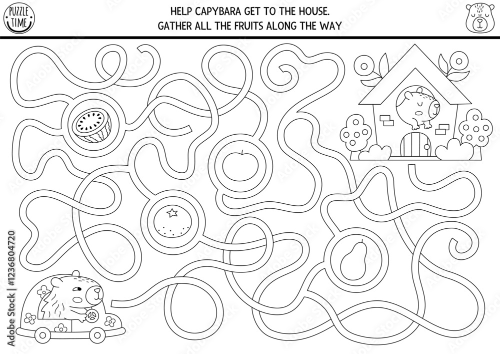 Fun black and white maze for kids with capybara driving car to the house. Capibara preschool printable activity with cute animal. Labyrinth game, coloring page or puzzle with watermelon, tangerine