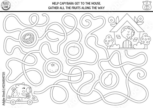 Fun black and white maze for kids with capybara driving car to the house. Capibara preschool printable activity with cute animal. Labyrinth game, coloring page or puzzle with watermelon, tangerine