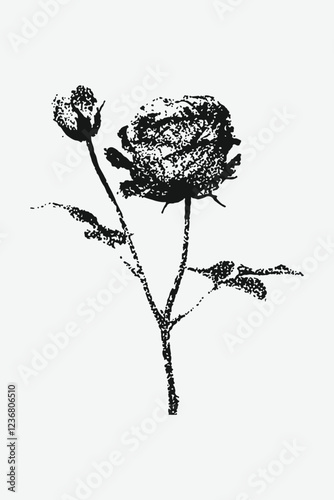 collage element with vintage stipple photocopy effect, Rosebud flower