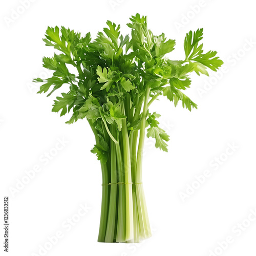 PNG Chinese Broccoli Against Transparent Background for Healthy Eating, Asian Cuisine Branding, or Organic Food Design Projects photo