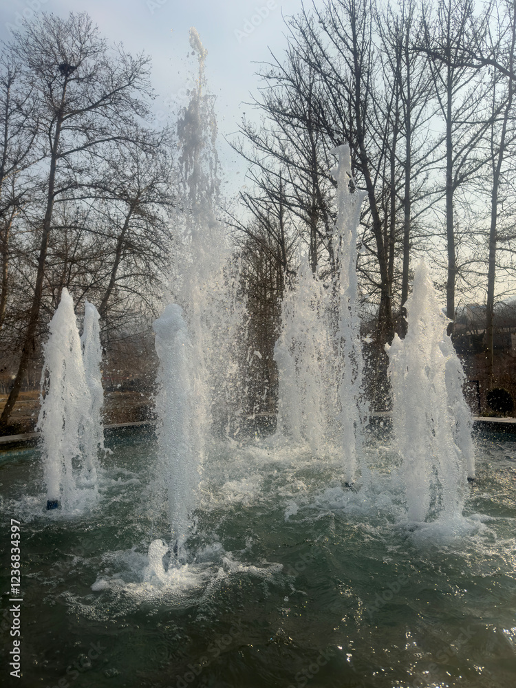 Naklejka premium fountain in the park