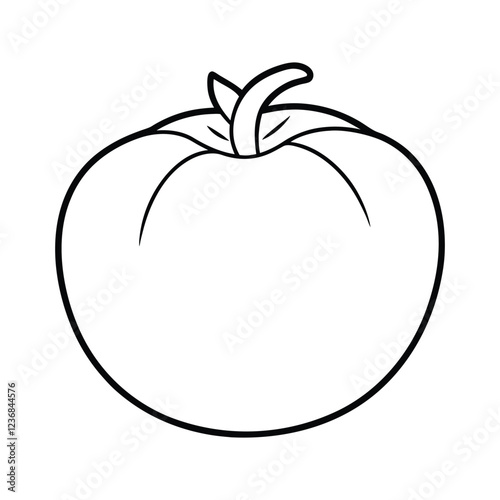 tomato vector illustration