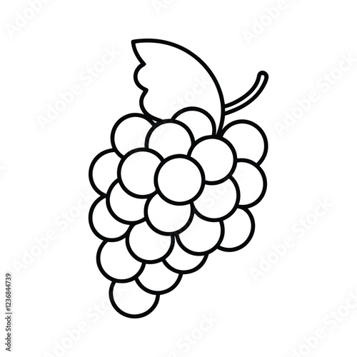 bunch of grapes vector illustration