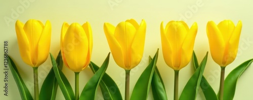 Bright yellow tulip bulbs shaped like light bulbs, isolated , tulip, objects