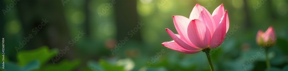 Soft petals unfurl in hues of blush pink amidst forest foliage, nature, forest bloom, flora Soft petals unfurl in hues of blush pink amidst forest foliage, nature, forest bloom, flora